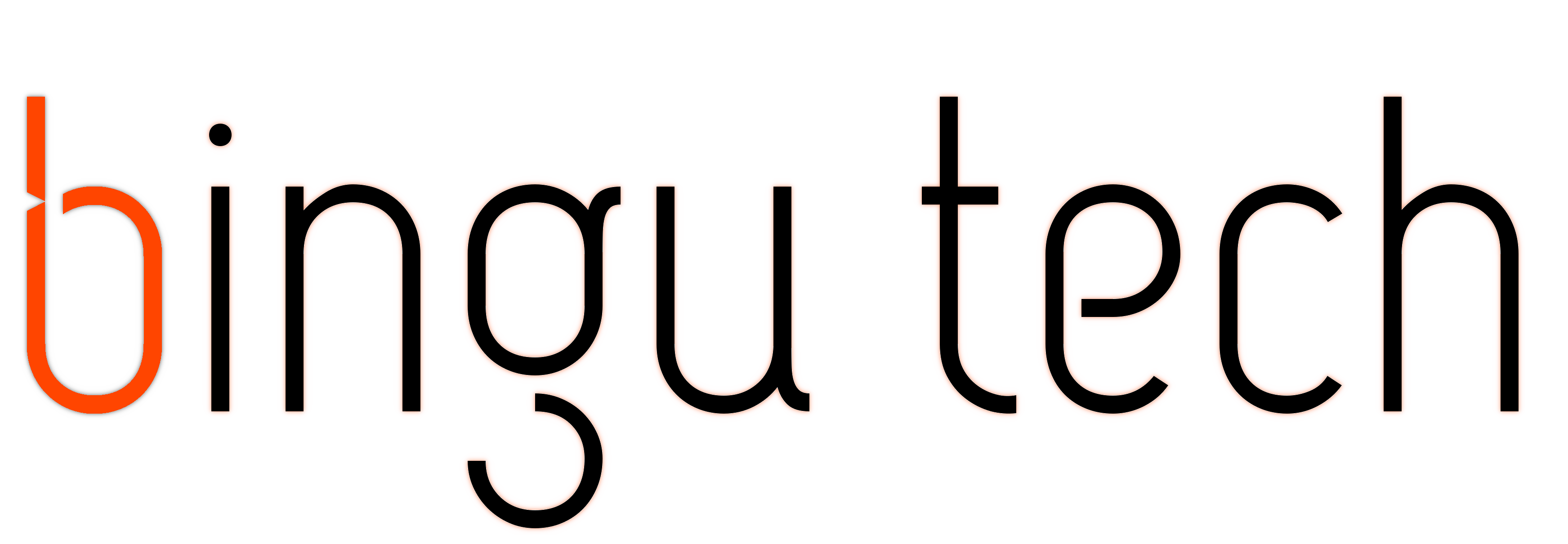 Bingu Tech Logo